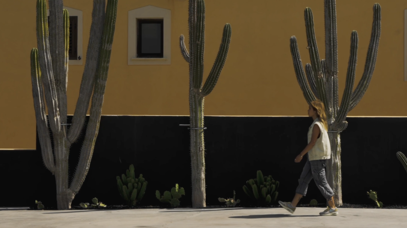 WMNS Air Max 1 'Safari'